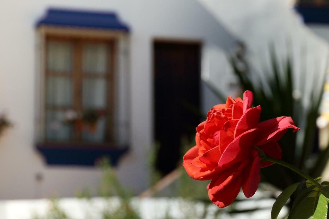 فيلا Casitas De La Sierra مونتيخاكي المظهر الخارجي الصورة