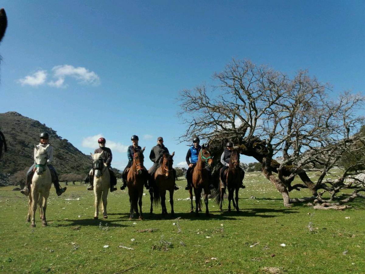 فيلا Casitas De La Sierra مونتيخاكي المظهر الخارجي الصورة