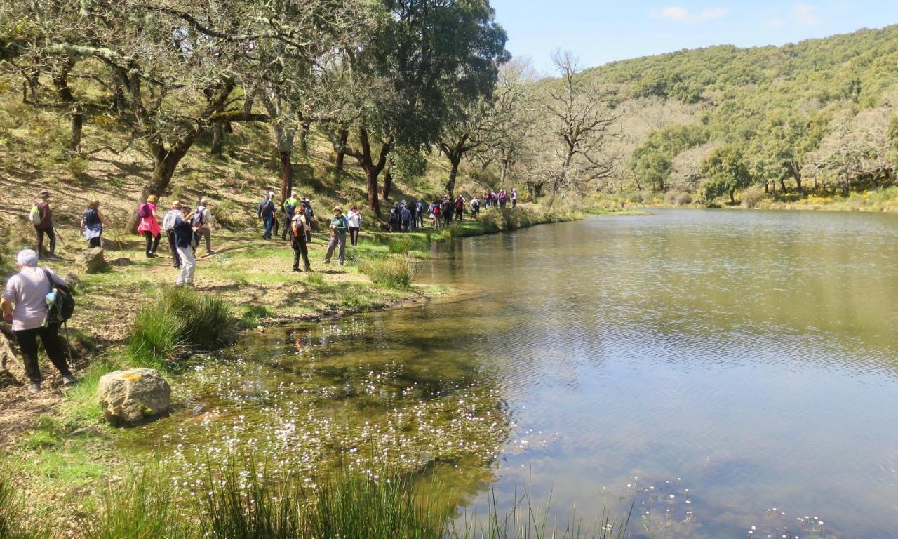 فيلا Casitas De La Sierra مونتيخاكي المظهر الخارجي الصورة
